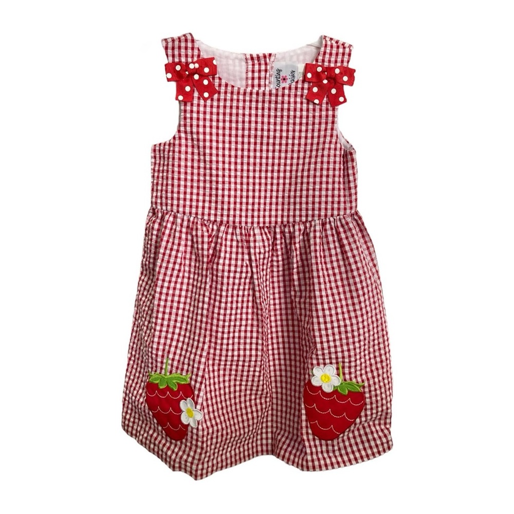 Counting Daisies Red Checkered Strawberry Dress sz 2T